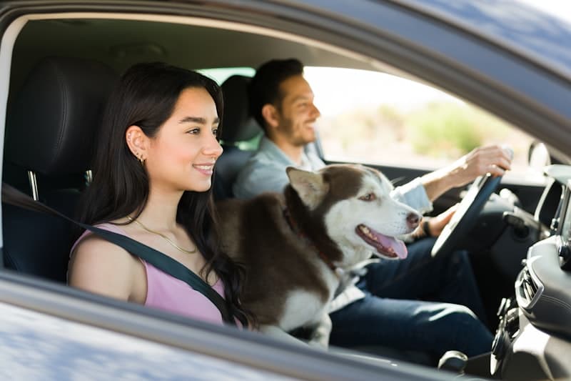 Happy couple enjoying a drive with their dog